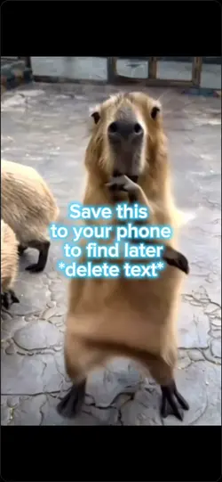 Save this🫣