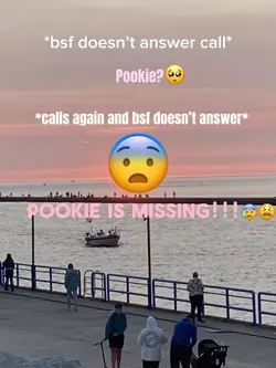 Pookie missing