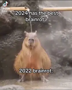Capybara edit 