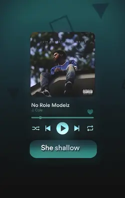 No Role Modelz 