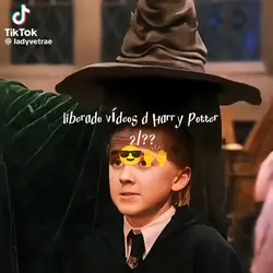 HARRY POTTER 