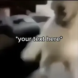 Dog laughing