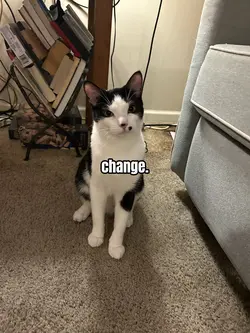 I watched you change