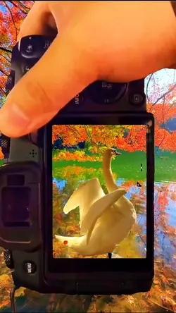 Video transition 