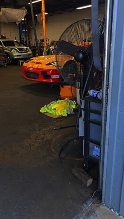 Beast 