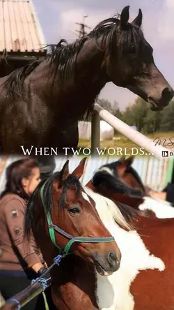 Two worlds collide 2