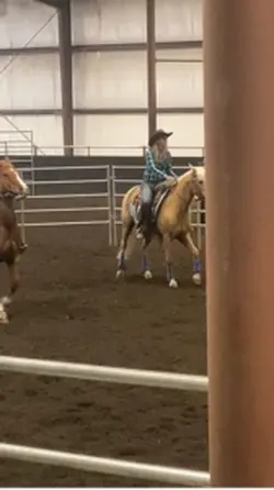 Team penning!