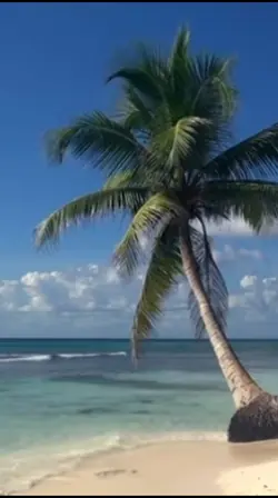 A lonely beach 