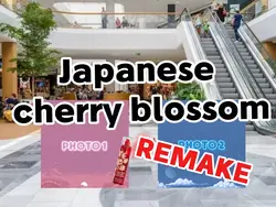 Cherry blossom