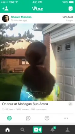 Vine Nostalgia 