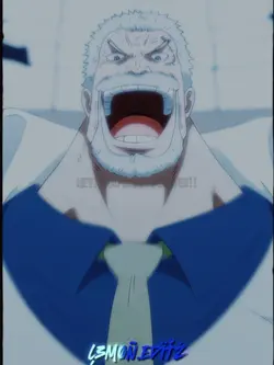 One piece;Garp
