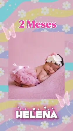 2 meses