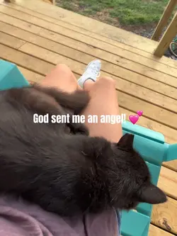 I asked God