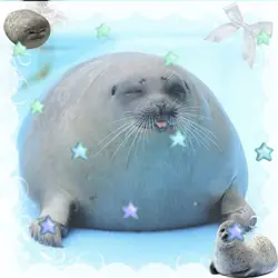 seal edit