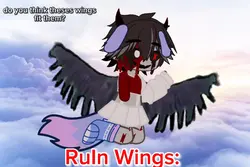 Rate their wings