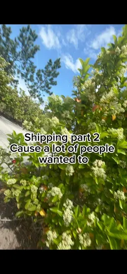 Shipping part 2!!