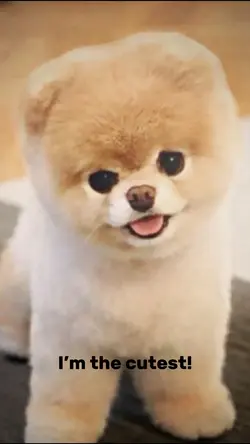 I’m the cutest!