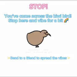 Kiwi bird got moves~