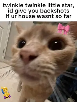 MY KITTYYH