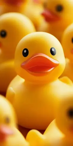 Ducky