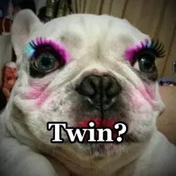 Dog makeup twin