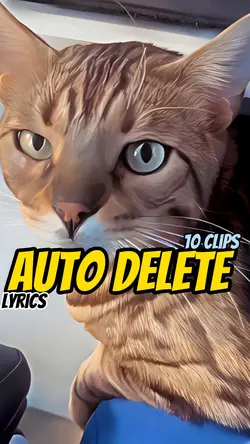 Auto delete song