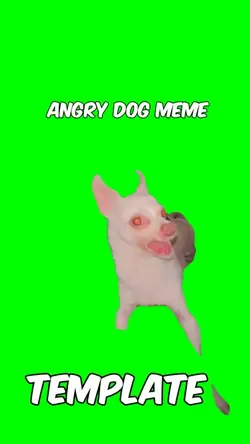Angry dog meme 