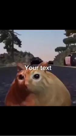 Relatable Fat Cat