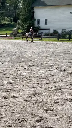 Smooth Slow Mo Horse