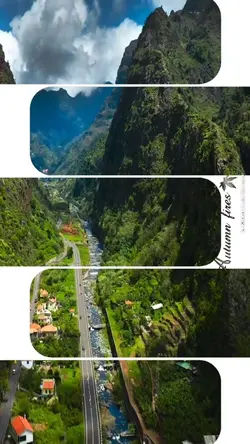 Video template
