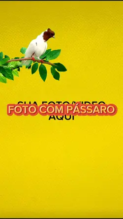 SUA FOTO COM PÁSSARO
