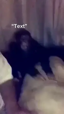 Monke Slap