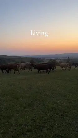 Living not existing 