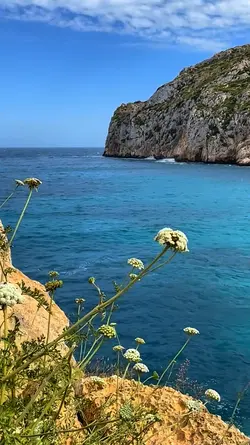 4K COLORS 
