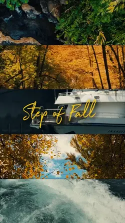 Step of Fall