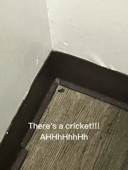Hi! 👋👋👋👋