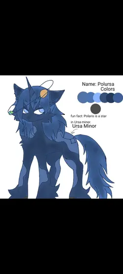Polursa -OC-