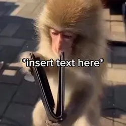 Monkey Wallet