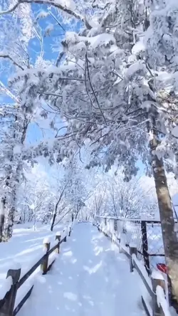 Heavy snow