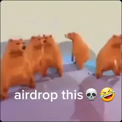 dancing bears