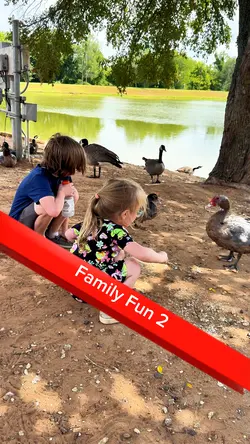 Family Fun 2