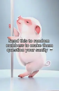 Pig dancing