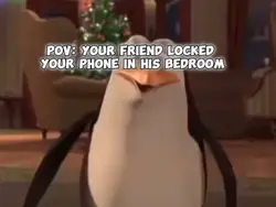 Penguin meme