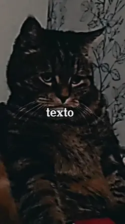 seu texto 