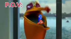 Finding Nemo