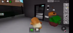 Velocity hamsters
