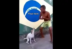Dancing dog meme