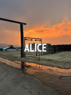 Alice 