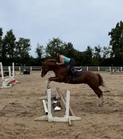Nova💗💗