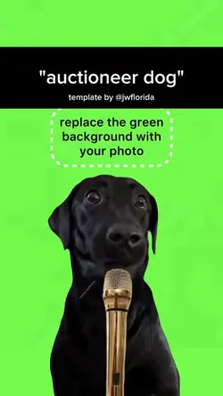 auctioneer dog